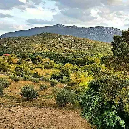 House Luce With Pool Apartamento